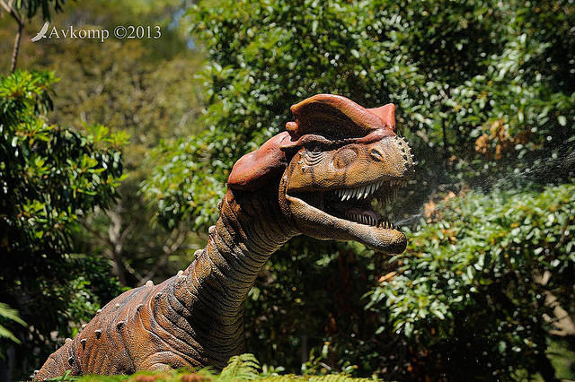 dilophosaurus 5931.jpg