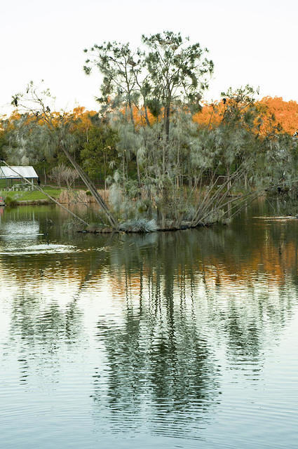 lake belevedere sunset 15647 -0