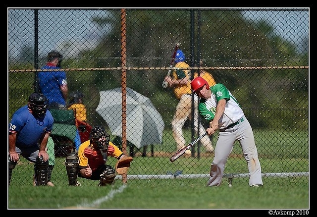 tigers vs stealers 6611