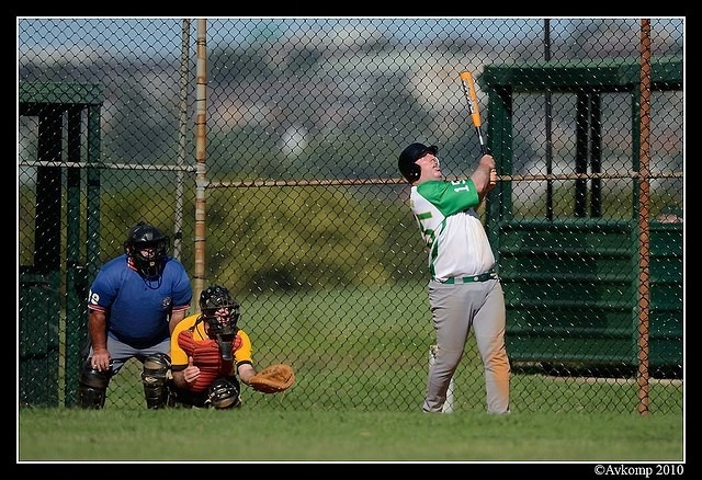 tigers vs stealers 6637