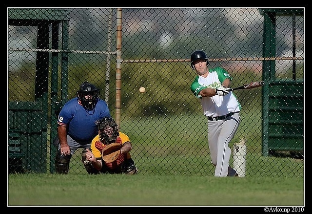 tigers vs stealers 6652