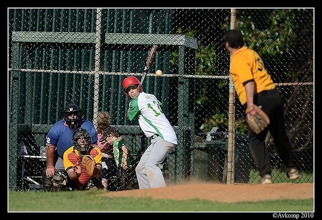 tigers vs stealers 6672