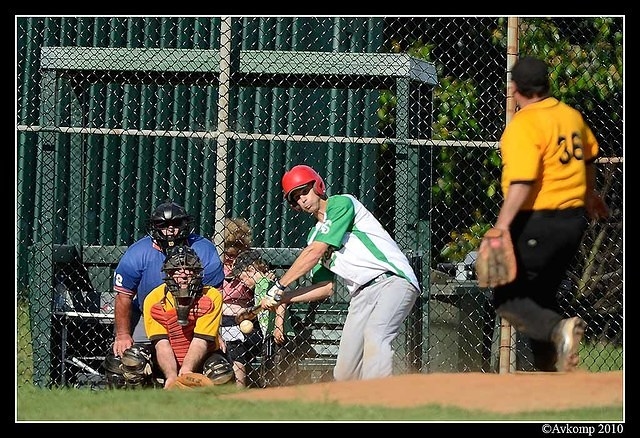 tigers vs stealers 6674