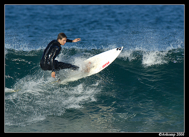 surfers north narrabeen 81