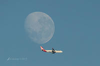 qantas moon 8658