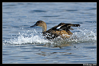 grey teal landing 3