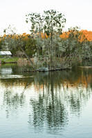 lake belevedere sunset 15647 -0