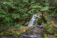 waterfall hdr9a 8082 HDR