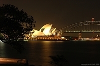 sydnight6