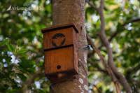 nest boxes 10371