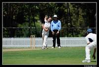 parramatta vs syduni 0951