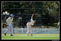 parramatta vs syduni 0979