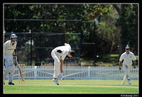 parramatta vs syduni 0980