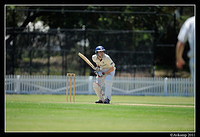 parramatta vs syduni 0983