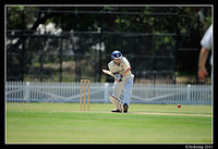 parramatta vs syduni 0985