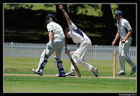 parramatta vs syduni 1006