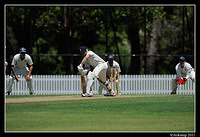 parramatta vs syduni 1019