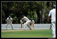 parramatta vs syduni 1024