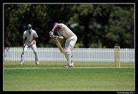 parramatta vs syduni 1074