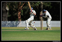 parramatta vs syduni 1085