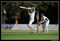 parramatta vs syduni 1101