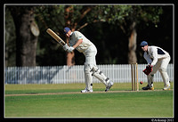 parramatta vs syduni 1108