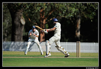 parramatta vs syduni 1115