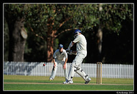 parramatta vs syduni 1119