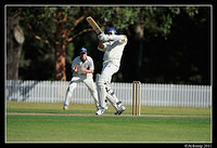 parramatta vs syduni 1122