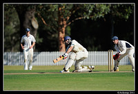 parramatta vs syduni 1124