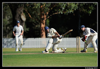 parramatta vs syduni 1125