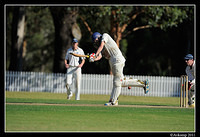 parramatta vs syduni 1135