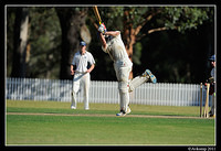 parramatta vs syduni 1136