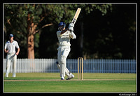 parramatta vs syduni 1142