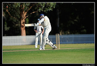 parramatta vs syduni 1145