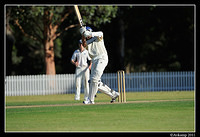 parramatta vs syduni 1146