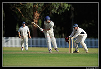 parramatta vs syduni 1150