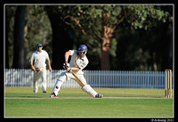 parramatta vs syduni 1152