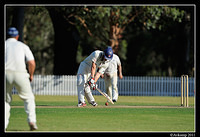 parramatta vs syduni 1153