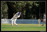 parramatta vs syduni 1156