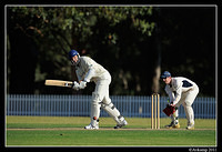 parramatta vs syduni 1160