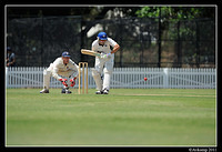 parramatta vs syduni 1229