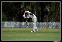 parramatta vs syduni 1306