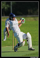 cricket rydalmere vs epping 3885