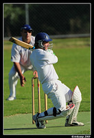 cricket rydalmere vs epping 3886