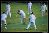 rydalmere vs meadowbank 0803