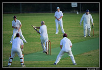 rydalmere vs meadowbank 0805