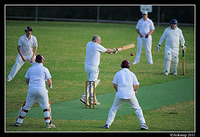 rydalmere vs meadowbank 0806