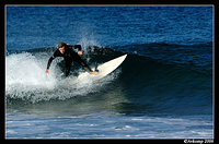 surfers north narrabeen 13