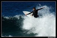 surfers north narrabeen 37